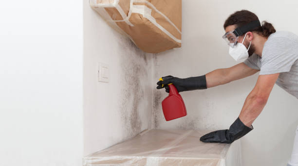 Professional Mold Testing technician working in Bensenville, IL